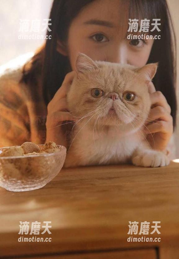 黑料不打烊 155.fun黑料不打烊,在线火速更新:你又被哪个明星刷屏了?