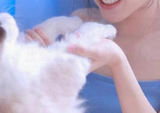 ‘黑料不打烊’的安卓独家秘密：找‘正能量虾库网’的身世，这可夸张了！