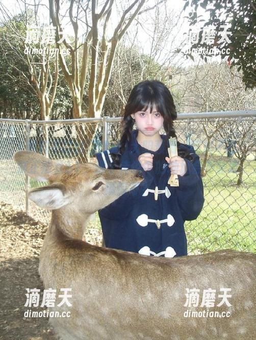 大胆预测：黑料不打烊正能量51，那个传说中的地址会不会再爆惊奇？