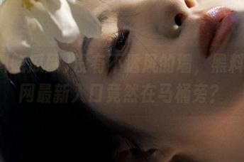 没有不透风的墙，黑料吃瓜网最新入口竟然在马桶旁？