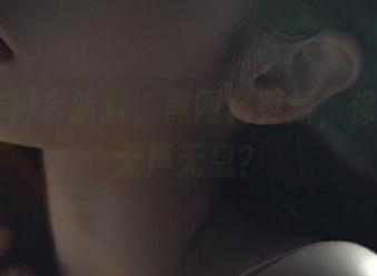 有新料，黑网料更新，保你中毒无声无息？